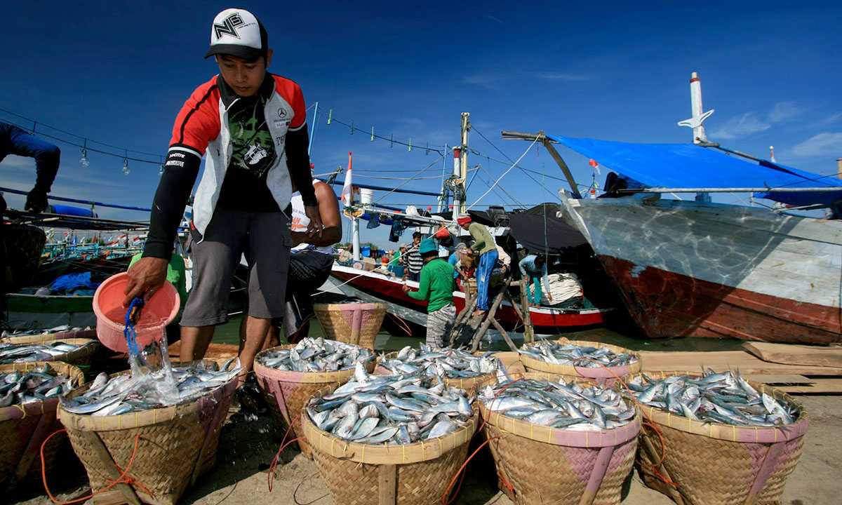 Perikanan Berkelanjutan: Menjaga Keseimbangan Ekosistem dan Ekonomi
